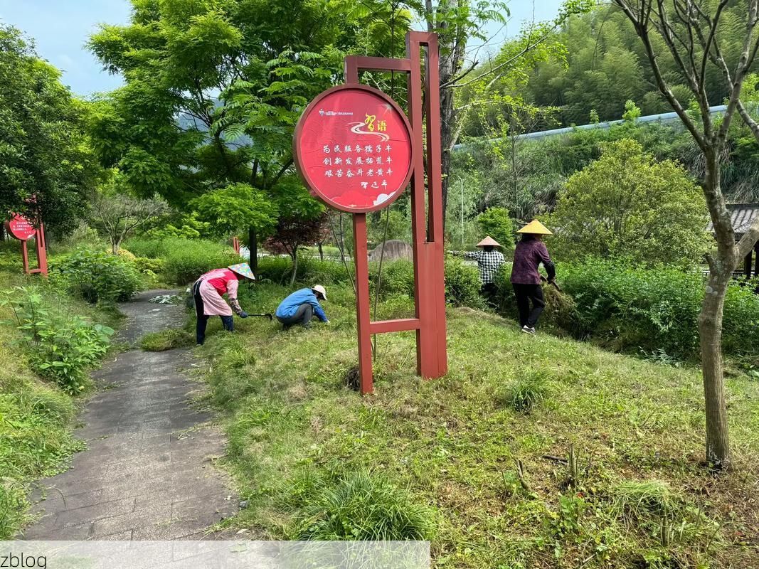龙井茶乡的零感染坚守：丘陵地貌下的防疫屏障