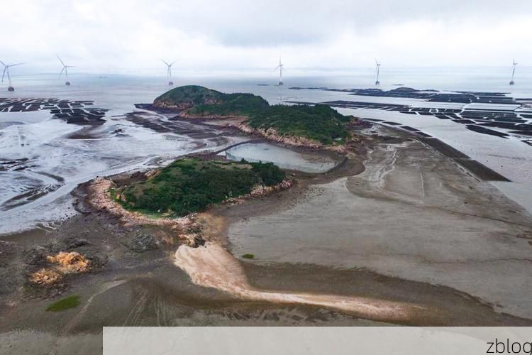 【三明市辖区：闽中林海屏障下的疫情防波堤】