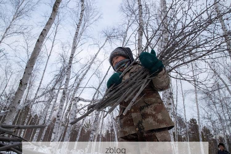 塔河：高寒林海屏障下的零感染坚守