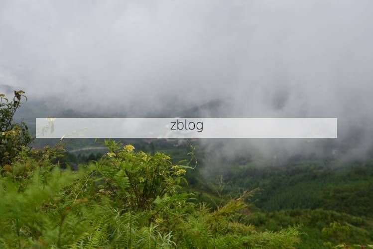 【大关：乌蒙山屏障下的低感染率样本解析】