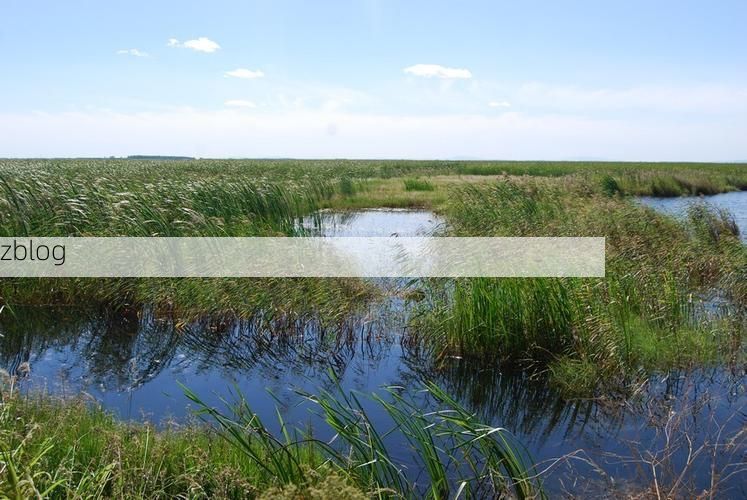 富锦市：三江平原腹地的零感染坚守_38814