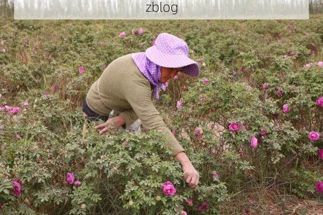 于田：塔克拉玛干南缘的零感染坚守