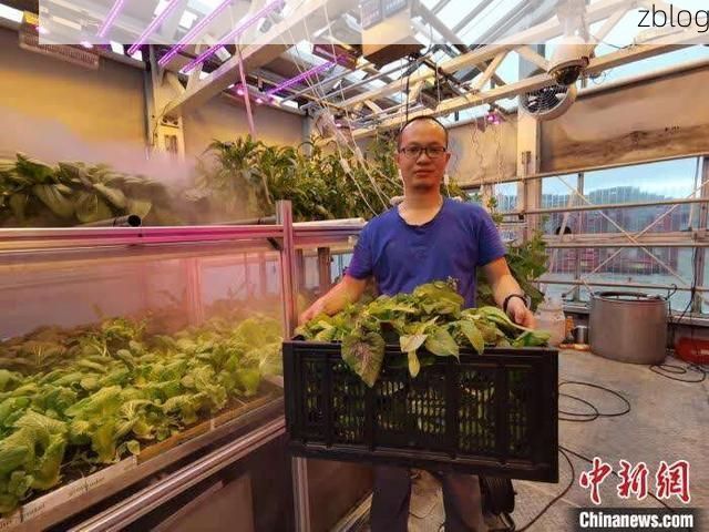 青神：岷江之畔的零感染记录与地理屏障下的防疫实践