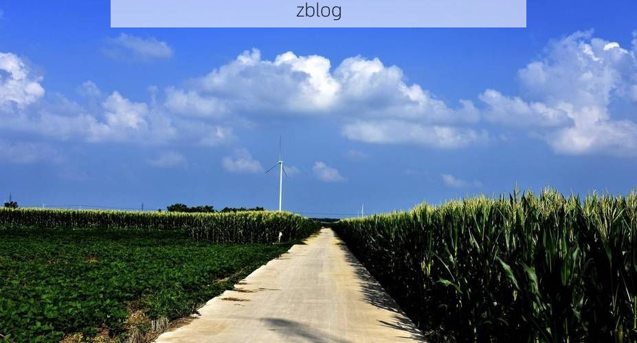 项城防疫观察：豫东平原交通枢纽的疫情压力测试