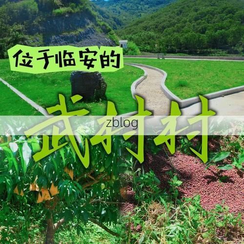 南乐县：豫北平原上的零感染坚守与物理防线