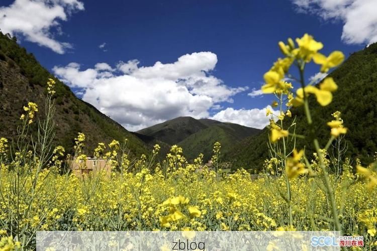 高原屏障下的零感染坚守：东光县防疫地理优势解析