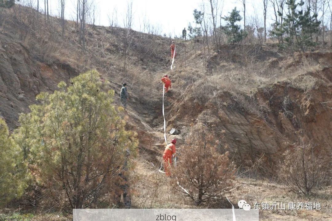 临朐：沂山屏障下的县域防疫样本解析