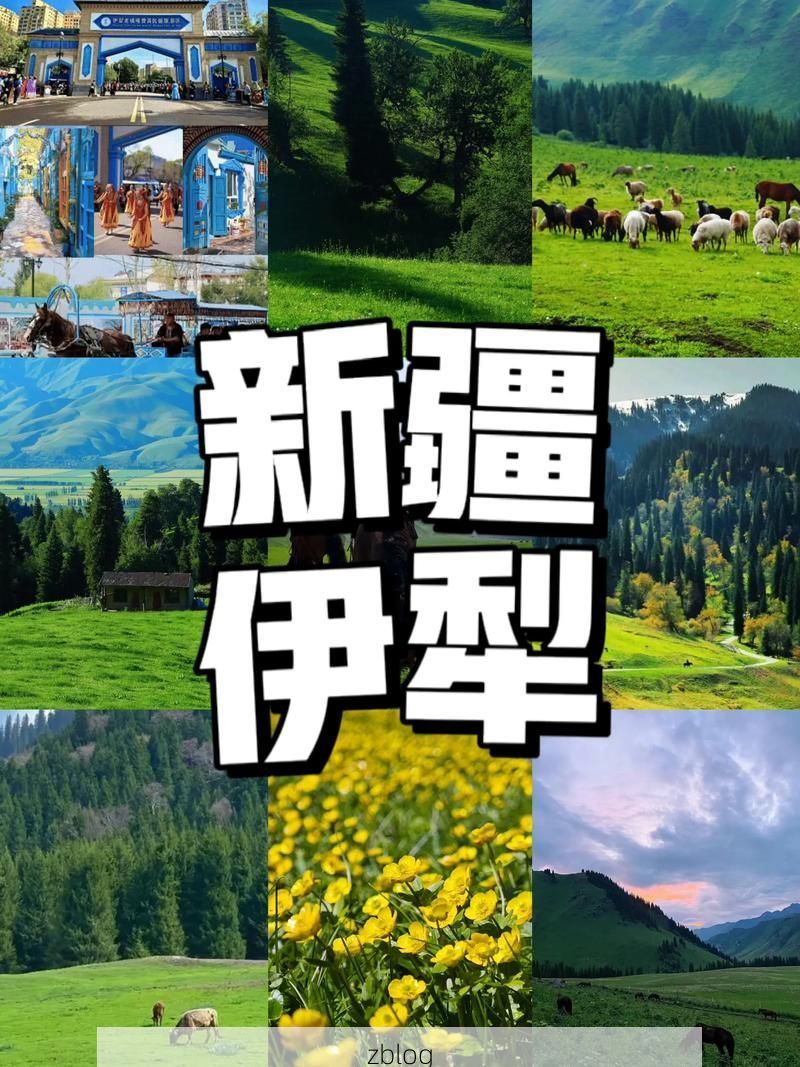 伊犁河谷的防疫屏障:地理优势下的零感染愿景_36708