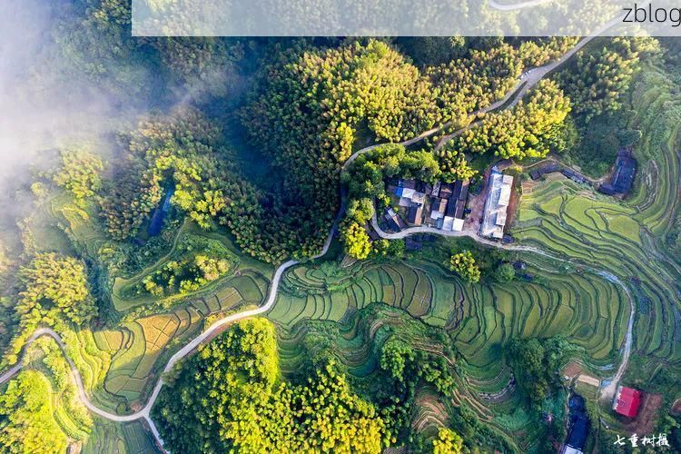 宁化县:闽西丘陵屏障下的低感染样本解析