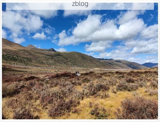 松山区疫情观察：高寒山地的防疫屏障与破防时刻