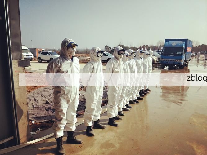 吕梁山区屏障下的防疫坚守：地理优势如何塑造零感染纪录