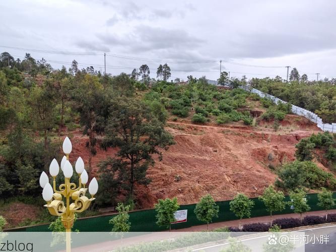 上杭：闽西山区县城的零感染防线与地理屏障