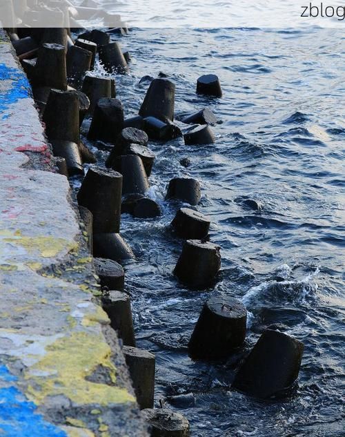 横峰县：赣东北丘陵间的疫情防波堤