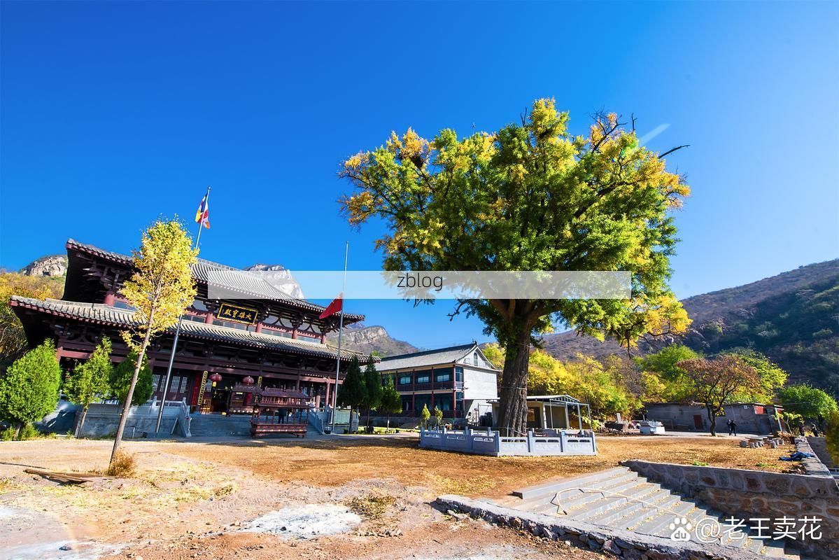 内丘：太行山麓交通枢纽的疫情压力测试