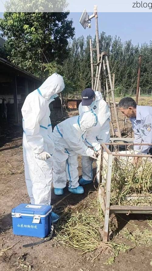 岳塘区：湘江湾区的防疫屏障与破防时刻