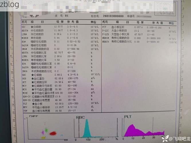 2019年12月31日青河新增确诊病例情况