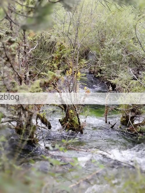 九寨沟新增1例无症状感染者  九寨沟县疫情防控最新通报_9264