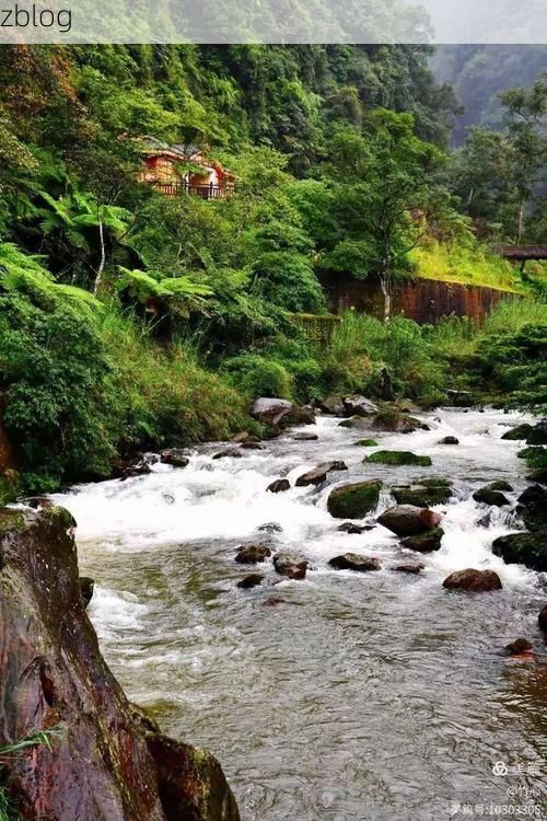 绥阳：黔北山城屏障下的低感染样本解析_47741