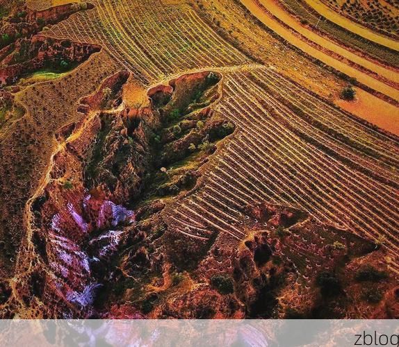 静宁：黄土高原沟壑间的防疫坚守与破防时刻_24426