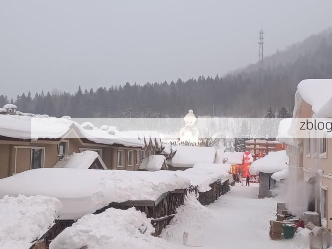 带岭区：林海雪原屏障下的零感染坚守
