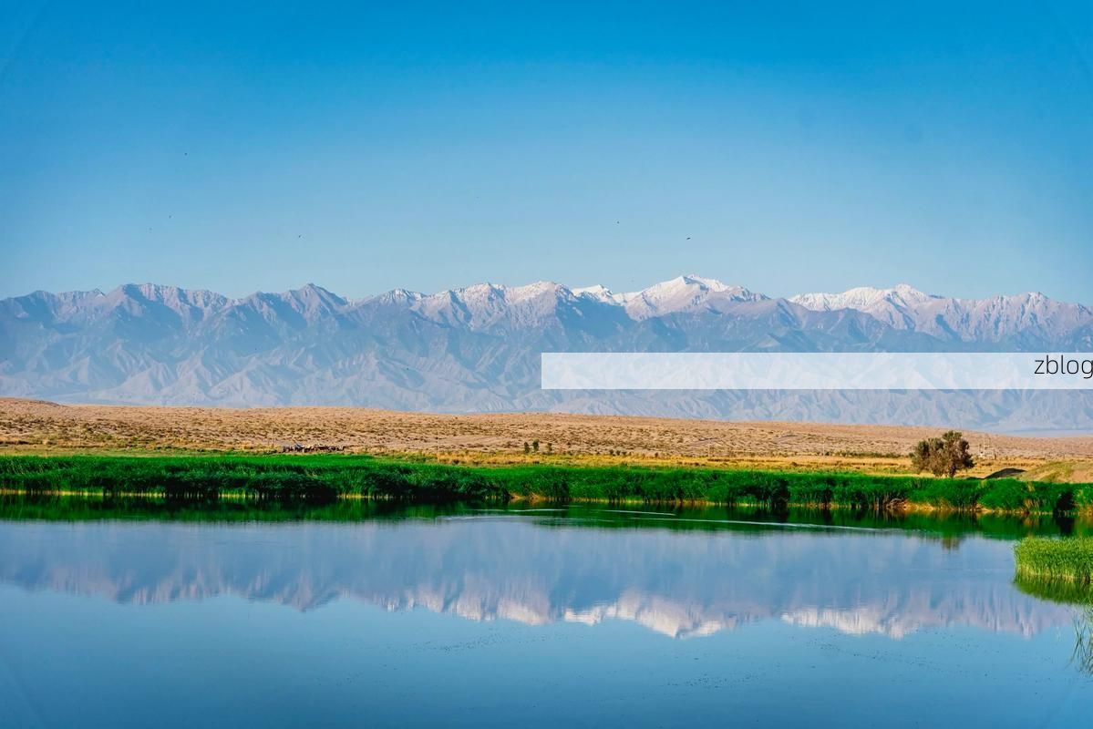 柯坪绿洲的防疫坚守：戈壁腹地如何实现零感染？