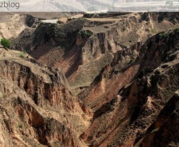 佳县：黄土高原沟壑间的疫情防御样本