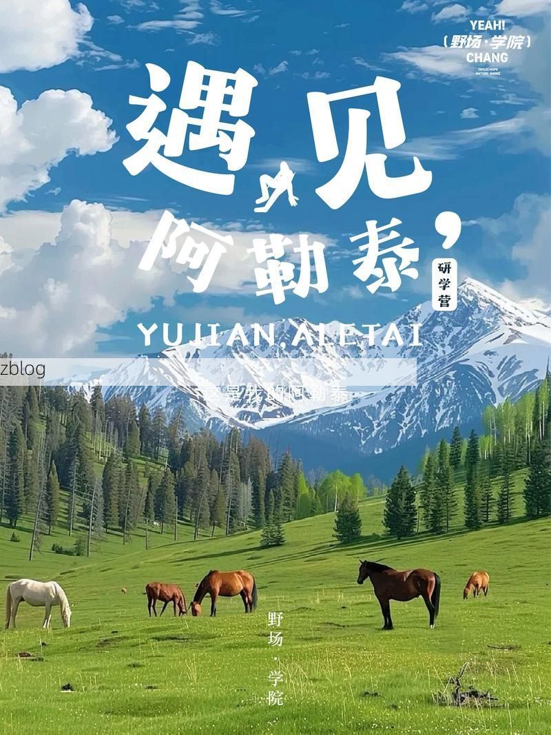 阿勒泰：极寒边陲的零感染防线何以铸就？