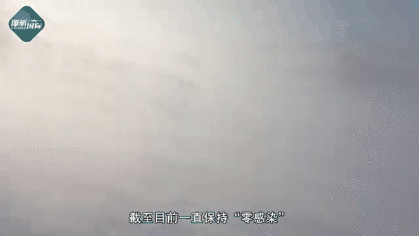 蛟河市：松花江畔的零感染防线与地理屏障解析