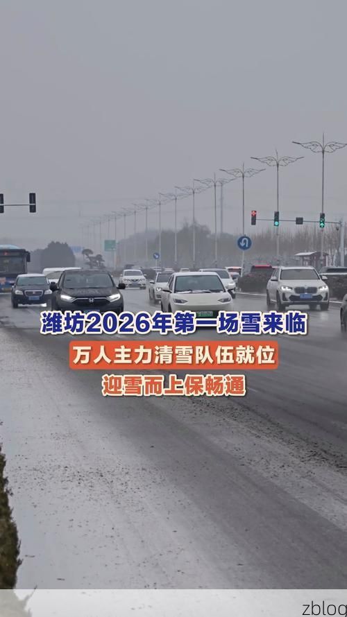 【汤阴县：中原腹地交通枢纽下的疫情破防与围堵】