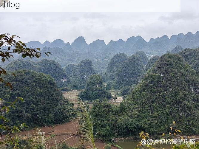 德保：喀斯特峰林屏障下的疫情破防与围堵
