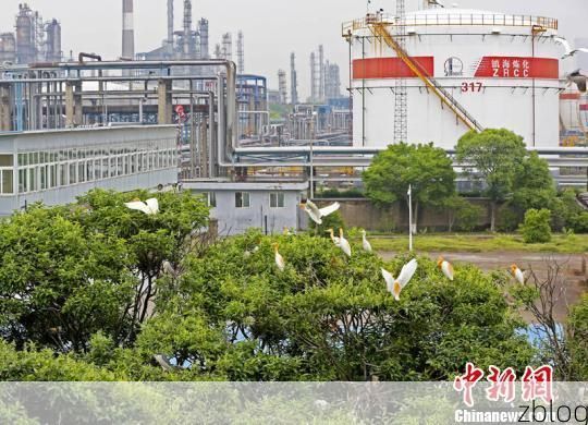 马鞍山：沿江工业重镇的疫情防线与破口_12702