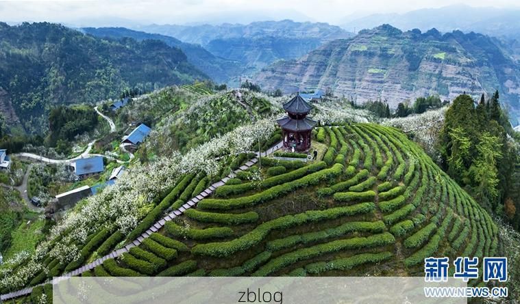 马边彝族自治县：小凉山腹地的零感染坚守