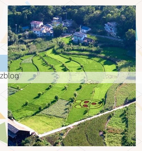 仁寿：四川盆地腹地的疫情防线与社区韧性