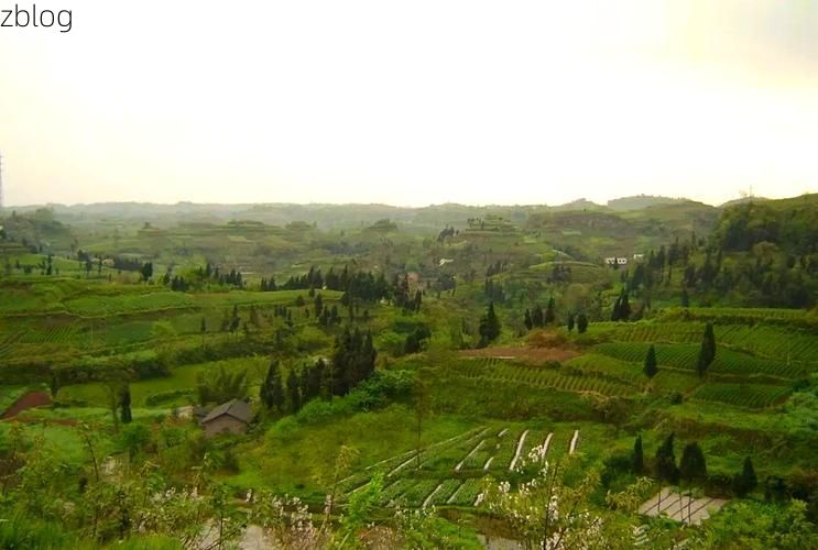 蓬溪：川中丘陵的静默防线与零星破防