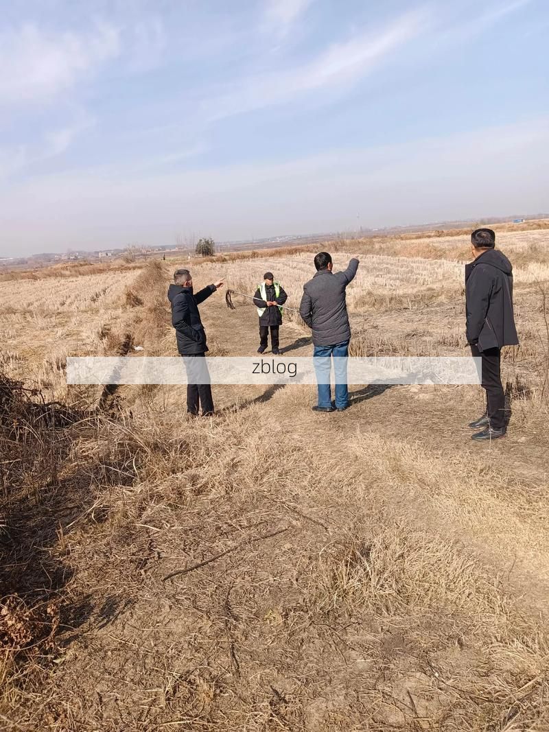 阜城低风险下的防控坚守：平原农业县如何织密疫情防线？