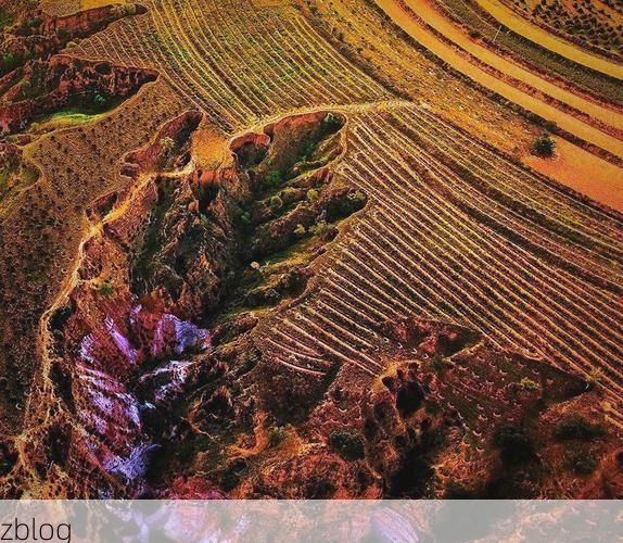 安塞腰鼓之乡的静默：黄土高原沟壑间的零感染坚守