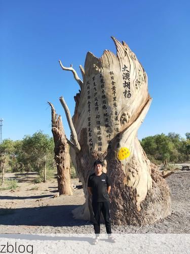 美溪区：林都屏障下的零感染记录如何铸就？