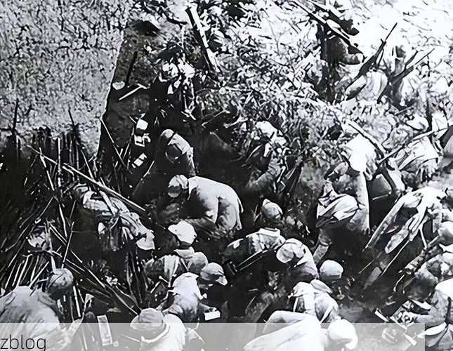 南陵县：皖南丘陵间的疫情防线与破防时刻