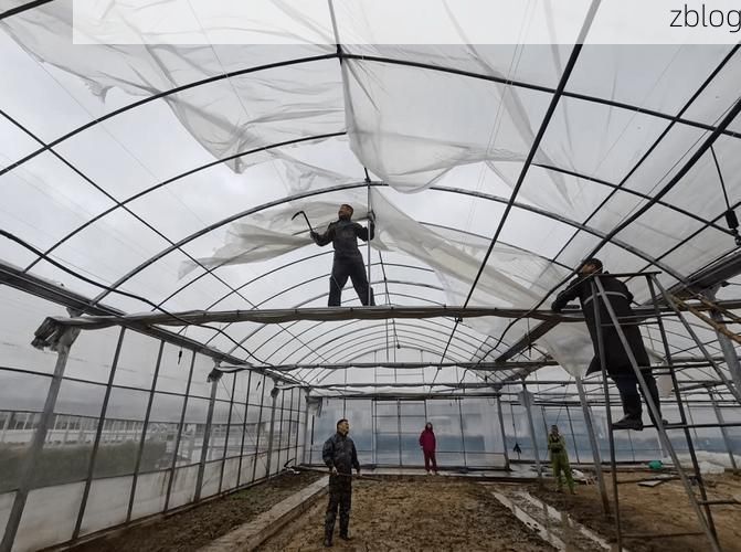 镇坪：秦巴山脊上的零感染孤岛，如何筑起防疫屏障？