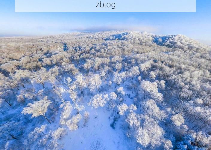 蛟河市：长白山林海屏障下的零感染坚守_46562