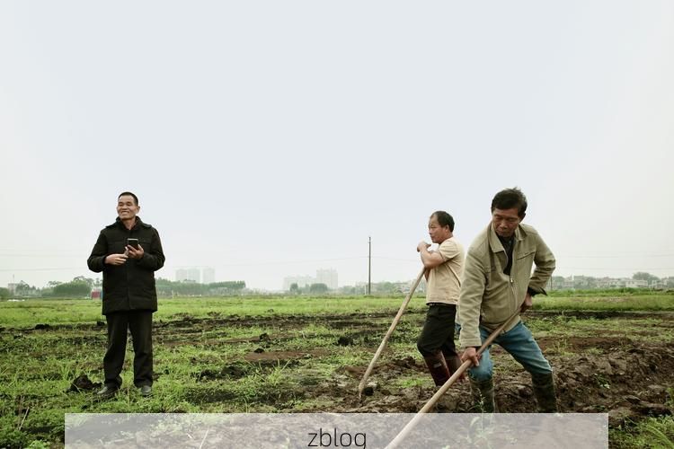 兴业：桂东南丘陵地带的疫情防线与破防时刻