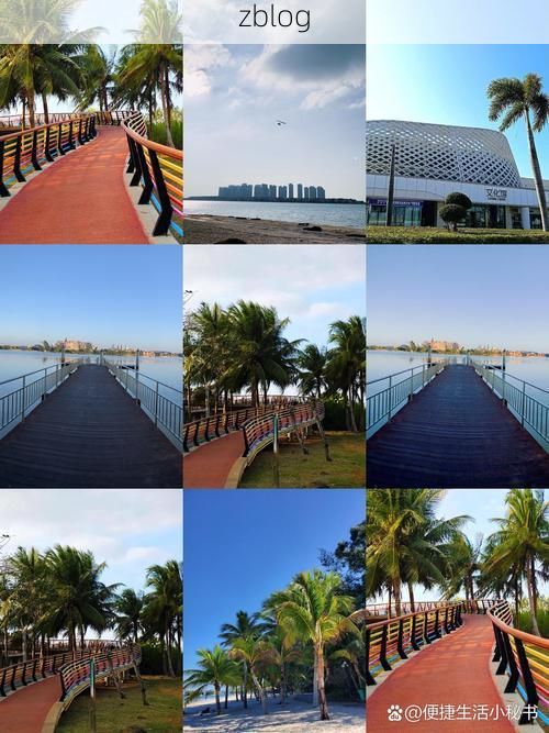 儋州：热带滨海城市的疫情防线与破防时刻