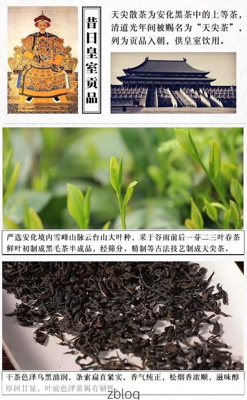 安化：雪峰山屏障下的低感染样本解析