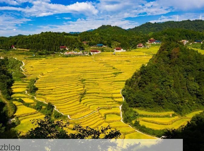 【芷江侗乡：沅水屏障下的零感染坚守】