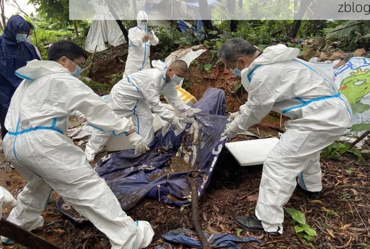 平凉防疫：黄土高原沟壑间的病毒阻隔战