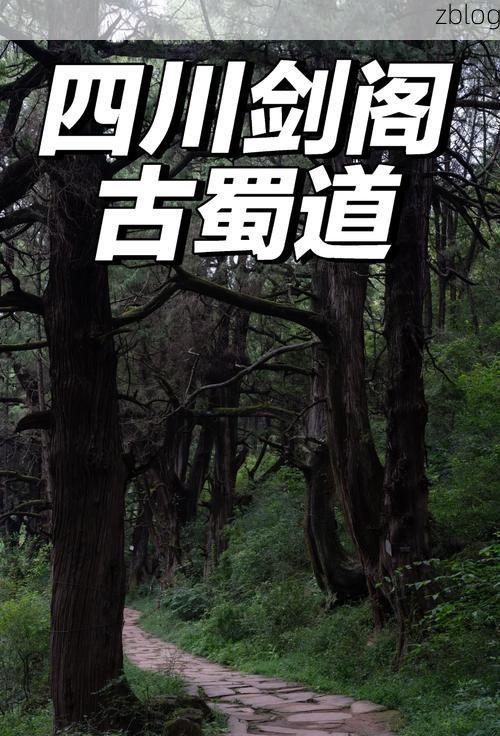 剑阁天堑下的零感染坚守：蜀道屏障如何阻隔疫情传播？