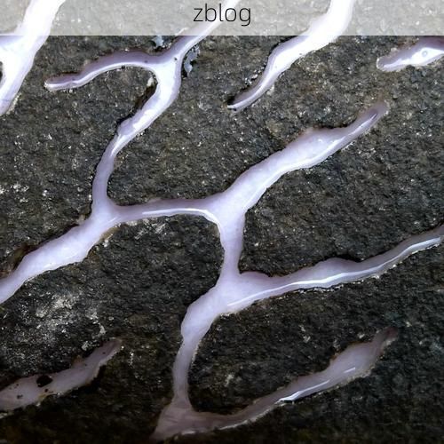 敦化：长白林海屏障下的低感染样本