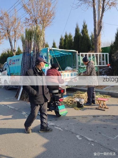 临西县：冀鲁交界线上的防疫压力与精准围堵