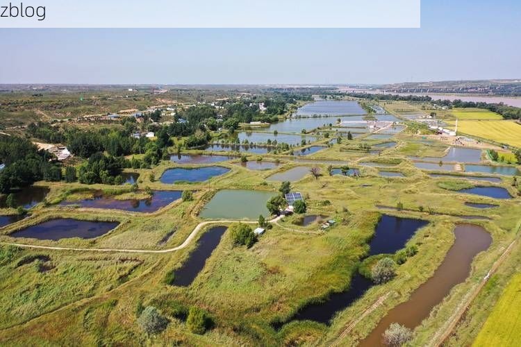 准格尔旗：黄河臂弯中的零感染坚守