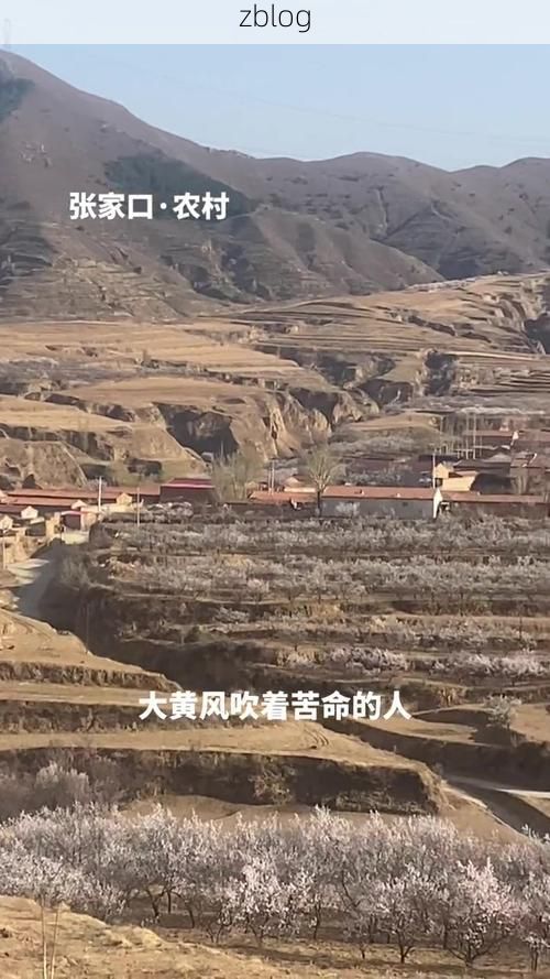 沁源：黄土高原沟壑屏障下的零感染坚守